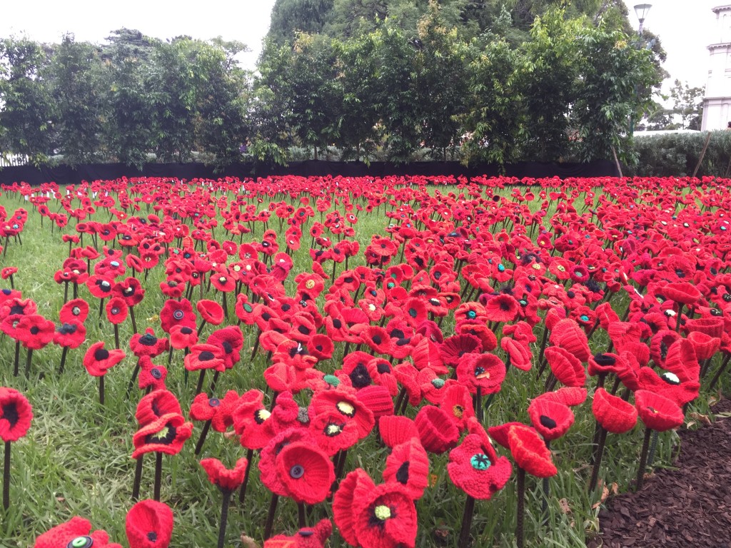 Hand Knitted Poppies