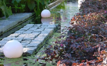 Formal pond from MIFGS with a box welded pond liner